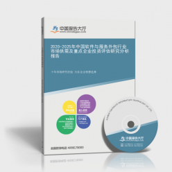 2020-2025年中國(guó)軟件與服務(wù)外包行業(yè)市場(chǎng)供需及重點(diǎn)企業(yè)投資評(píng)估研究分析