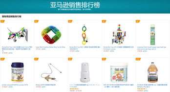 英語西班牙語外包客服助力寵物產(chǎn)品跨境電商提升客戶滿意度，挺進美國市場